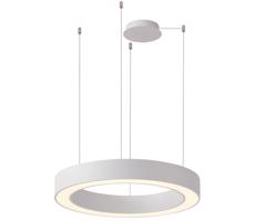 Azzardo Azzardo - LED Stmievateľný luster na lanku MARCO LED/50W/230V biela + DO