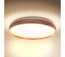 Brilagi Brilagi - LED Stropné svietidlo ALSON LED/24W/230V dub