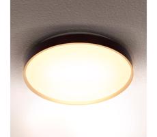 Brilagi Brilagi - LED Stropné svietidlo CALA LED/24W/230V