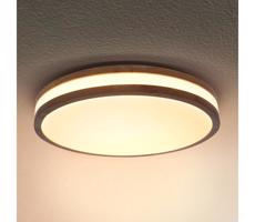 Brilagi Brilagi - LED Stropné svietidlo MOLINA LED/24W/230V dub