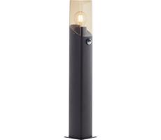 Brilliant Brilliant - Vonkajšia lampa so senzorom MINOU 1xE27/10W/230V IP44 čierna/dymová