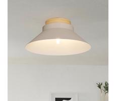 Eglo 900736 - Stropné svietidlo MOHARRAS 1xE27/40W/230V