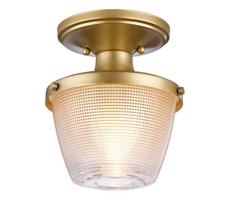 Elstead Quoizel QZ-DUBLIN-SF-PNBR - Kúpeľňové svietidlo DUBLIN 1xE27/40W/230V IP44 zlatá