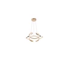 Eurolamp LED Luster na lanku LED/24W/230V 3000K 50x120 cm