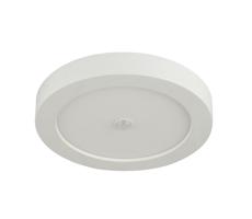 Globo GLOBO 41605-18S - LED Vonkajšie stropné svietidlo so senzorom PAULA 1xLED/18W/230V