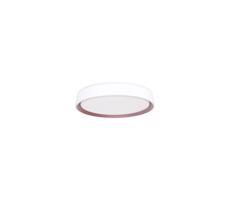 LED Stmievateľné stropné svietidlo s hlasovým ovládaním OPAL LED/48W/230V + DO