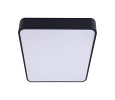 LED Stropné svietidlo FELIZ LED/50W/230V 4000K 40x60 cm čierna