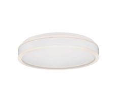 LED Stropné svietidlo LED/24W/230V 4000K biela