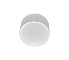 LED Stropné svietidlo PERCI LED/30W/230V IP40 4000K biela