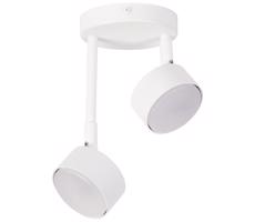 Luster na tyči NEMO 2xGX53/12W/230V biela