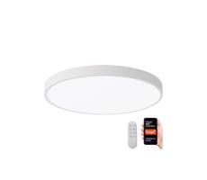 Neo NEO 07252L -LED Stmievateľné svietidlo SEMPLICI 48W/230V Wi-Fi Tuya bílá+ DO
