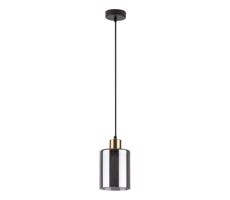 Rabalux Rabalux 72248 - Luster na lanku PEREZ 1xE27/40W/230V